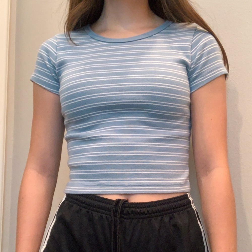 Blue and White Striped Brandy Melville Baby Tee Crop Top